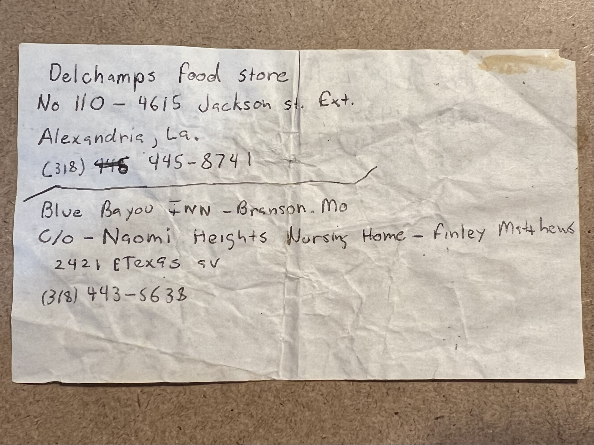 The intern resume 1994