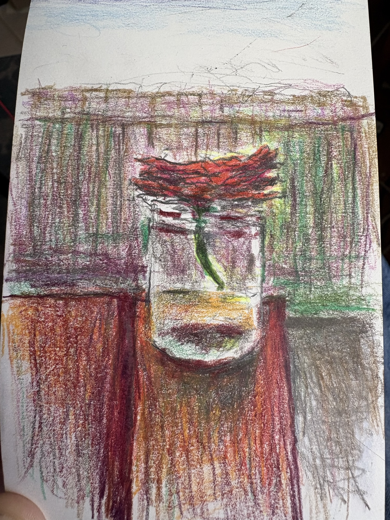 Process: 2026 first rose of the season, slightly scorched