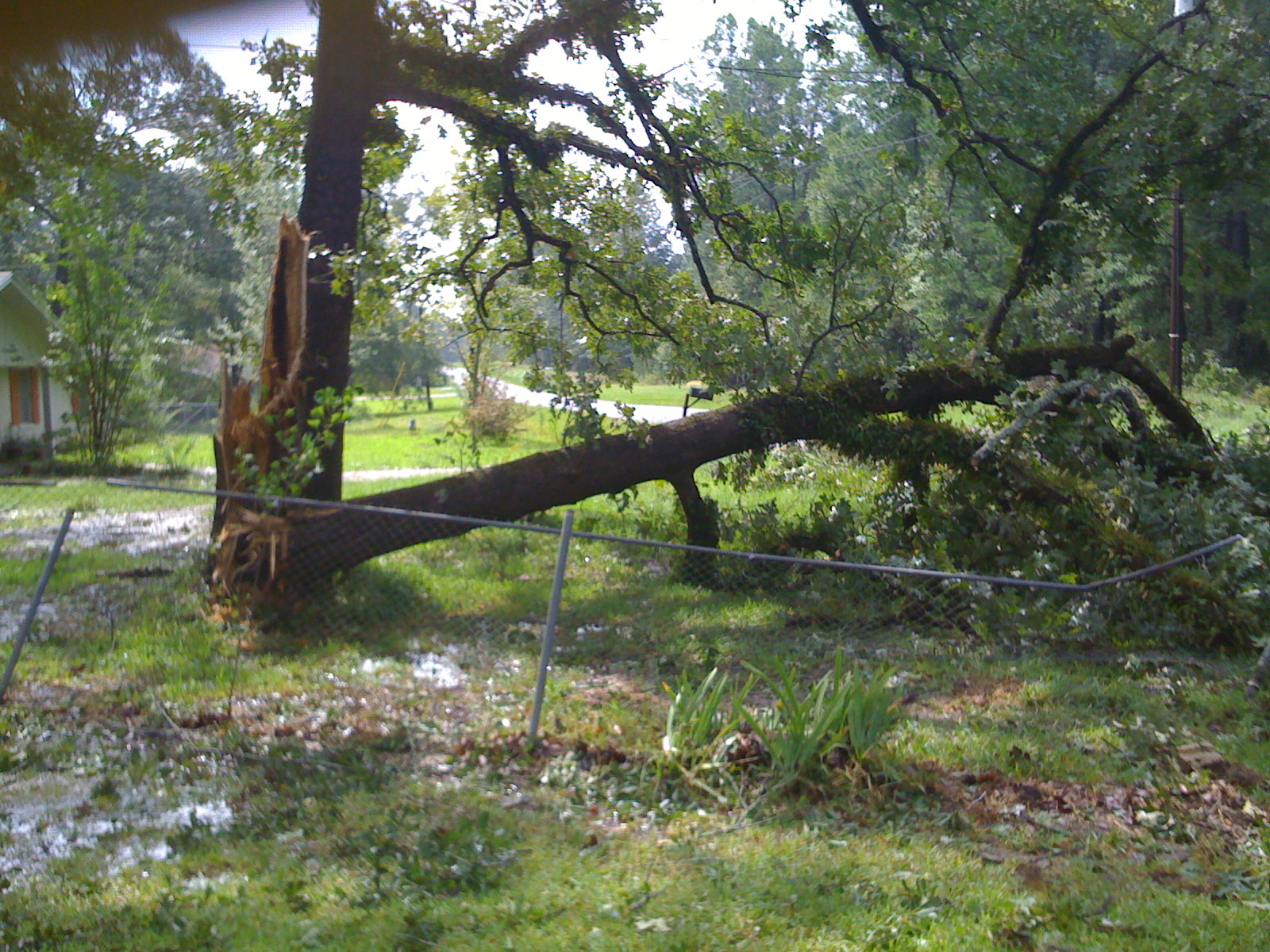 Hurricane Gustav Photos