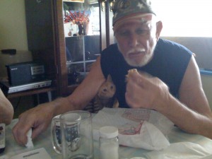 Pop & Mojo Eating