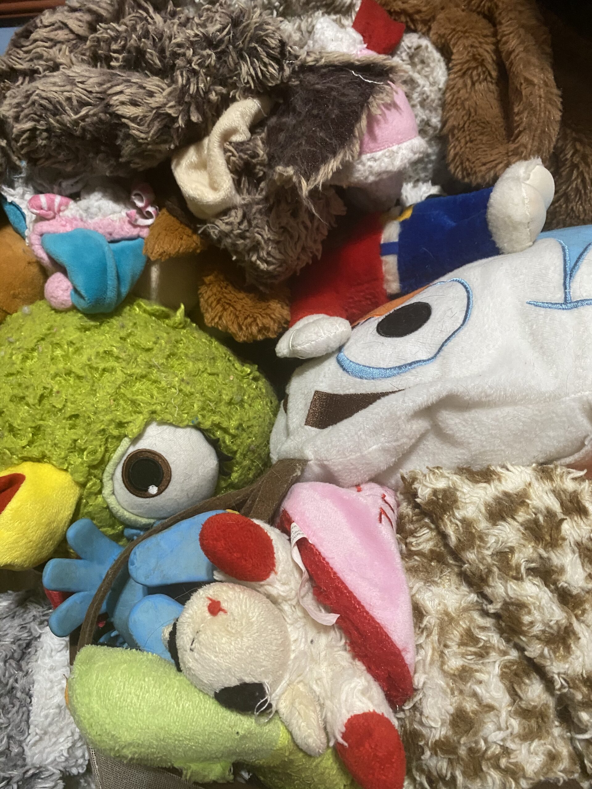 Dog toy pile